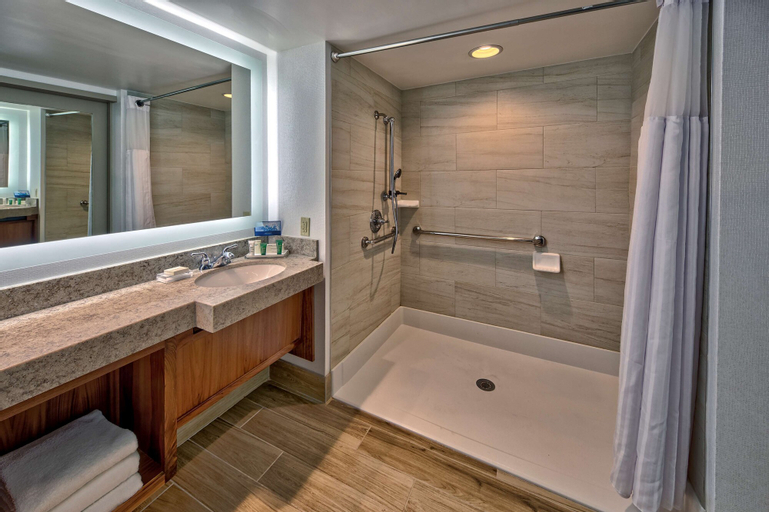Bedroom 4, Hilton Knoxville Airport, Blount