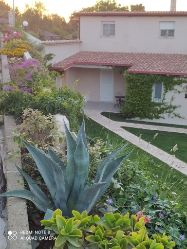 Others 4, B&B Volver, Foggia