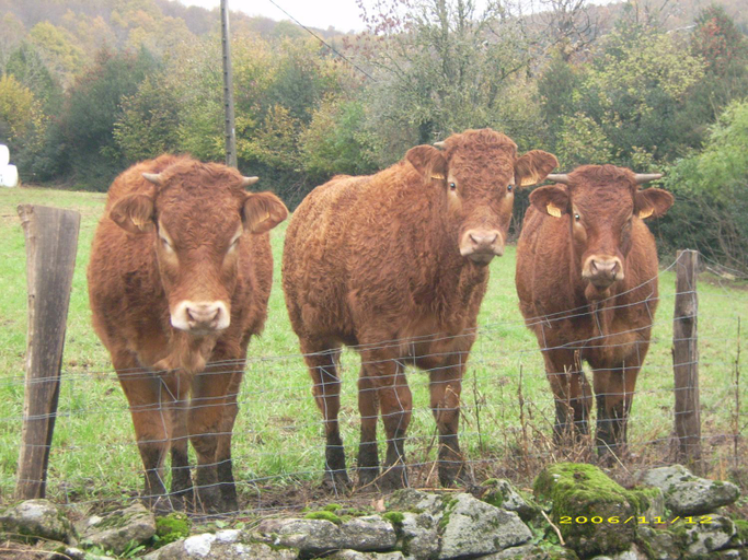 Others 2, Gite de Rouayras, Tarn