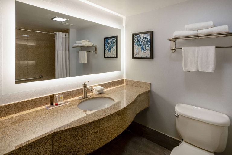Bathroom 4, Wingate by Wyndham Waldorf/Washington DC Area, Charles