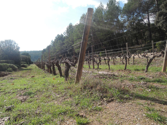 Others 3, Le Petit Paradis - La Provencale, Var