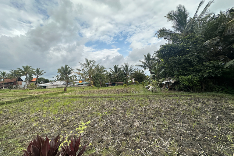 Lumbung Langit Bali House and Hostel, Gianyar Booking Murah di tiket.com