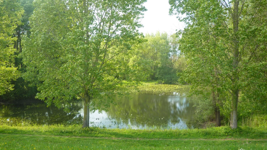 Others 3, De Slaapmus, West Maas en Waal