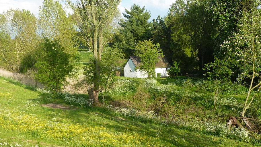 Others 4, De Slaapmus, West Maas en Waal