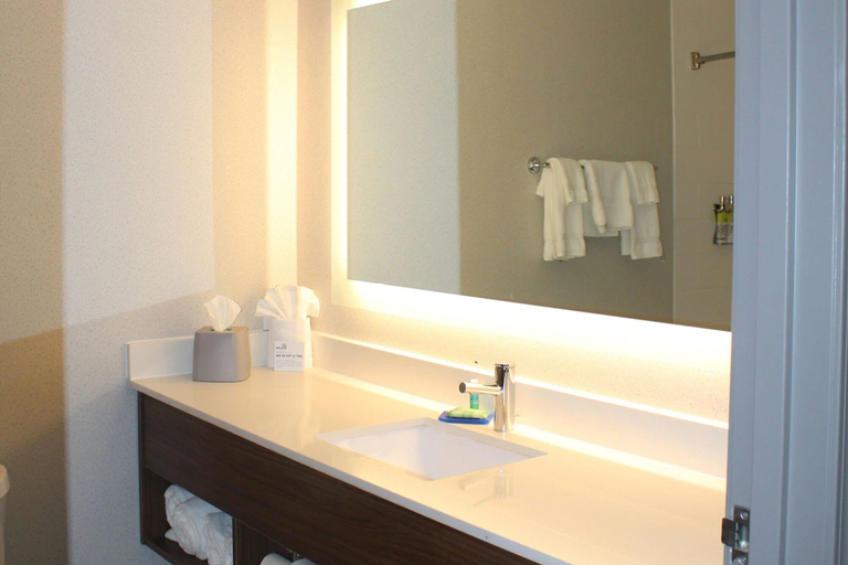 Bathroom 5, Holiday Inn Express & Suites RATON, Colfax