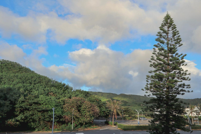4, Party& Dream Homestay, Pingtung