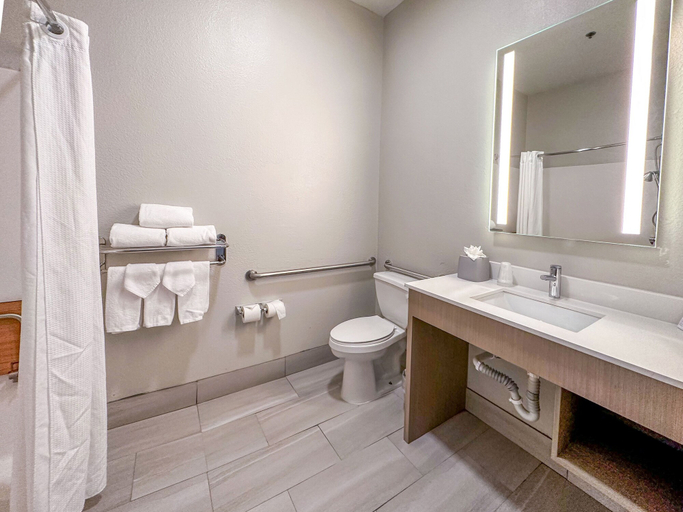 Bathroom 4, Holiday Inn Express & Suites ENNIS by IHG, Ellis