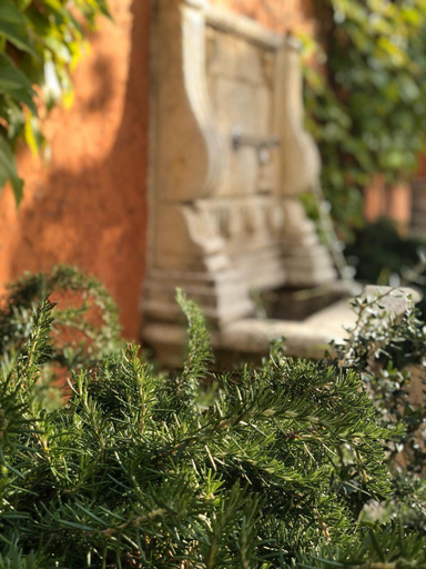 Garden 4, Moli Fariner Casa Rural, Valencia