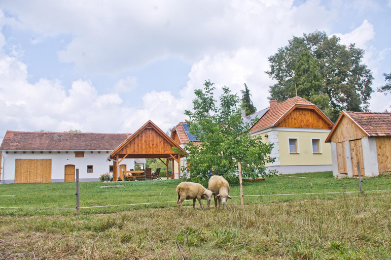 Others 3, Harmatcsepp-Vendeghaz, Őriszentpéter