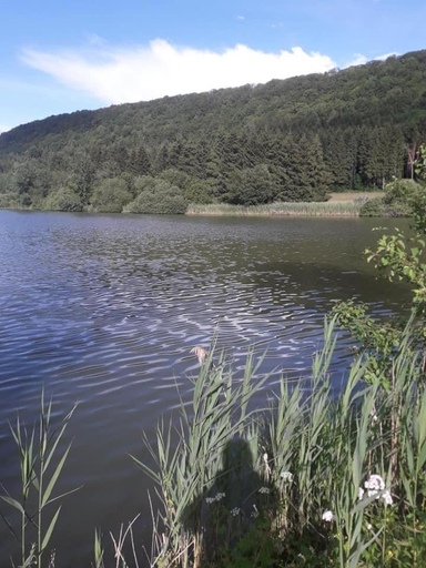 Others 5, Douce vallee, Jura
