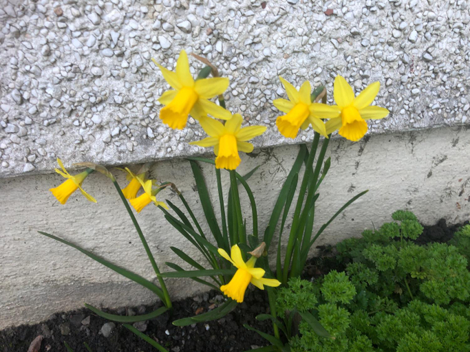 Others 3, Fairview Bed and Breakfast, North Lanarkshire