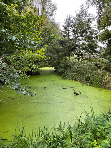 Others 5, Agroturystyka Zacisze Guciow, Zamość