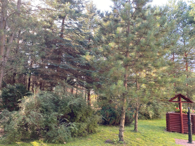 Others 4, Agroturystyka Zacisze Guciow, Zamość