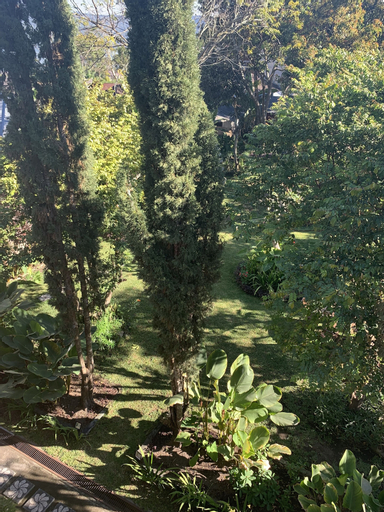 Scenery 6
