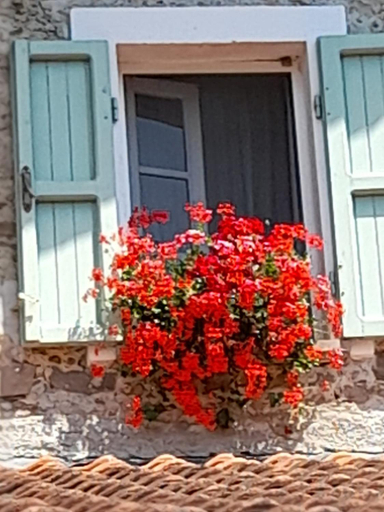 Others 5, Gli Ulivi Bed & breakfast, Massa Carrara