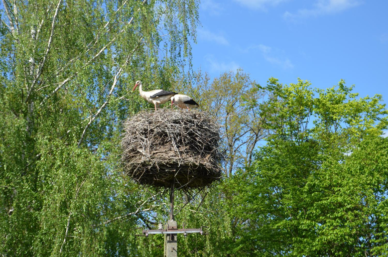 Others 3, Domek caloroczny MARKO, Węgorzewo