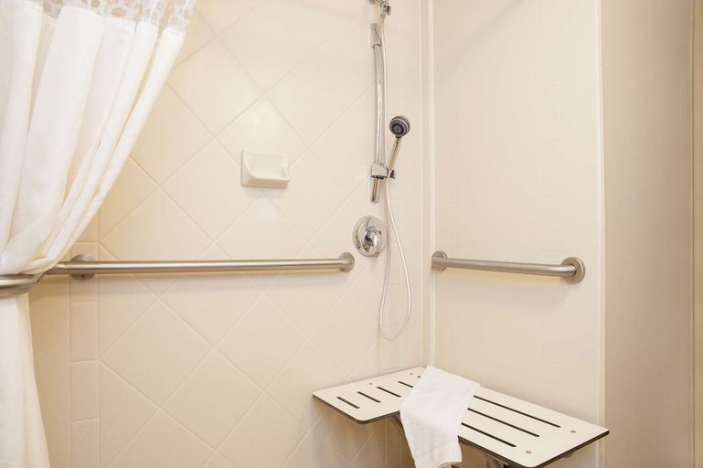 Bathroom 5, Hampton Inn Jacksonville, Morgan