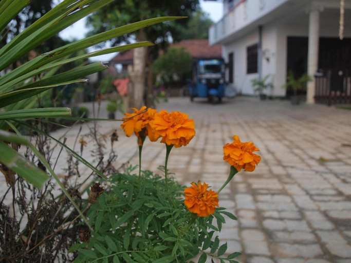 Others 4, Namal Stay, Weligama