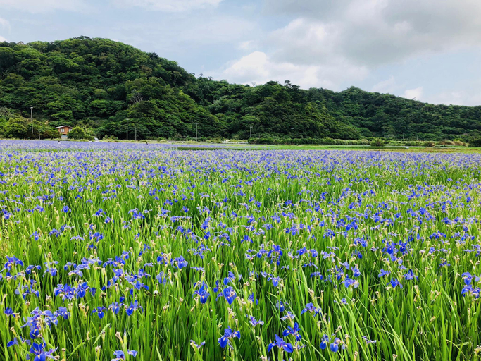 Others 3, Sannin Resort, Motobu