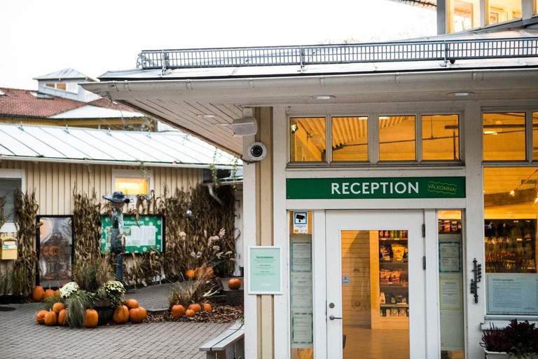 Public Area, Lisebergsbyn Vandrarhem - Hostel, Göteborg