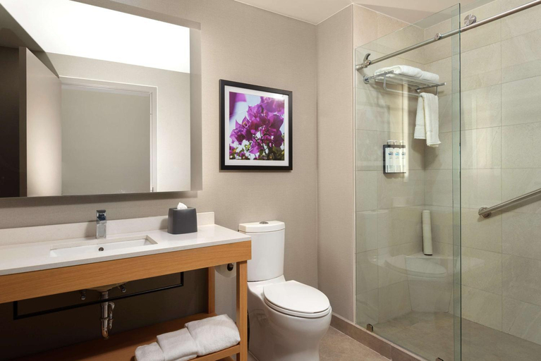 Bathroom 4, Hyatt Place Monterrey Valle, San Pedro Garza García