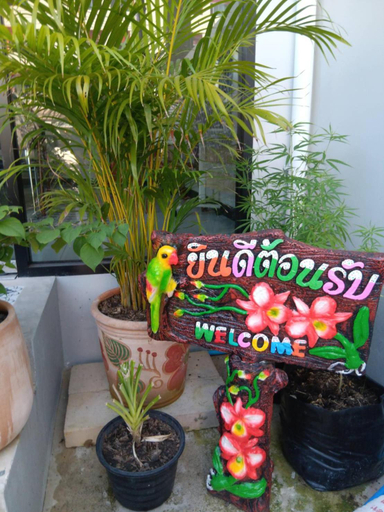 Others 2, The Brown boutique patong, Phuket Island