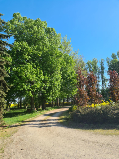 Others 3, Dwor Komorowo, Szamotuły