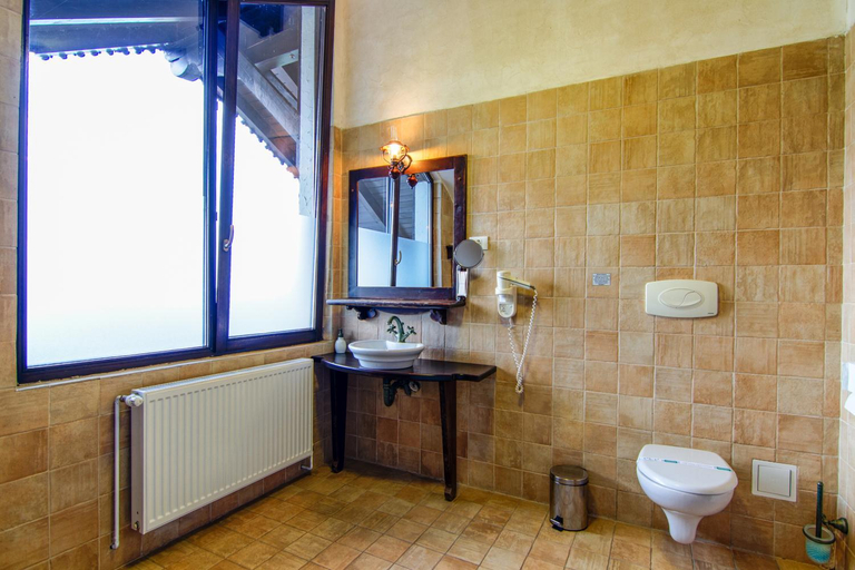 Bathroom 4, Pensiunea Gentiana, Bran