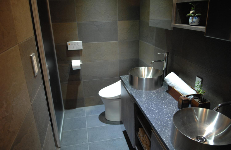 Bathroom 3, Phoenix Cocoon, Hakuba