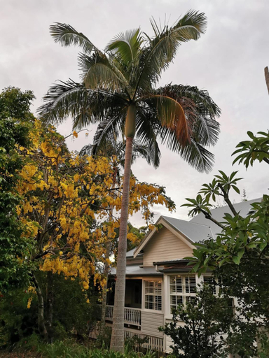 Others 5, Arcadia House, Byron