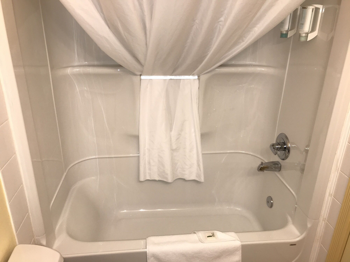 Bathroom 4, Quality Inn & Suites, Division No. 13