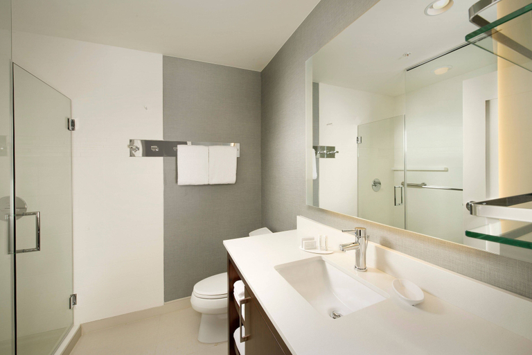 Bathroom 5, Residence Inn by Marriott Tyler, Smith