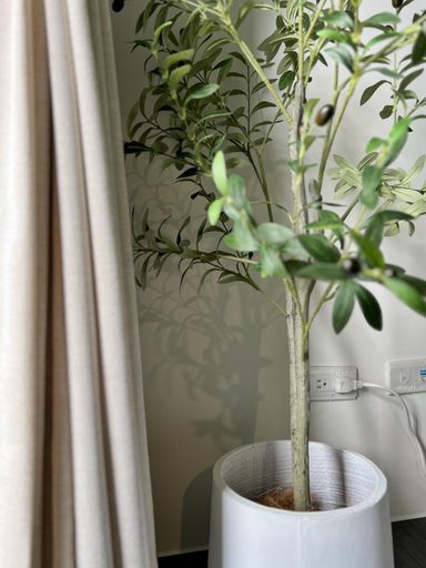 5, The LINs House, Tainan