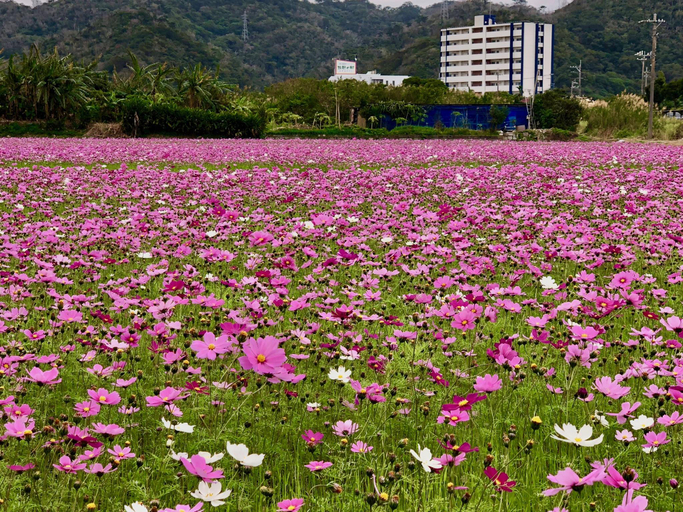 Others 5, Sannin Resort, Motobu