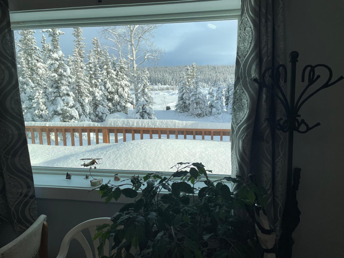 Sport & Beauty, Copperville B & B, Valdez-Cordova