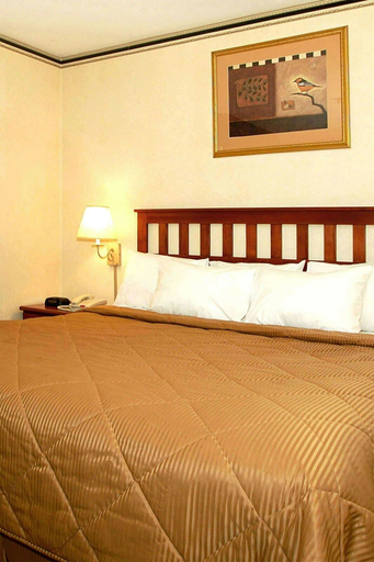 Bedroom 4, Crescent Hotel, New York