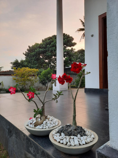 5, "The Anchorage" of Field View, Maharagama
