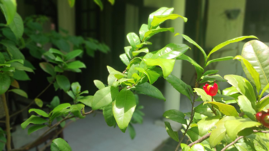 Others 5, Airport Gateway Residence, Negombo