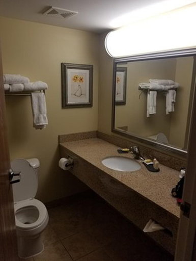 Bathroom 4, Rose Palace Hotel, Lahore