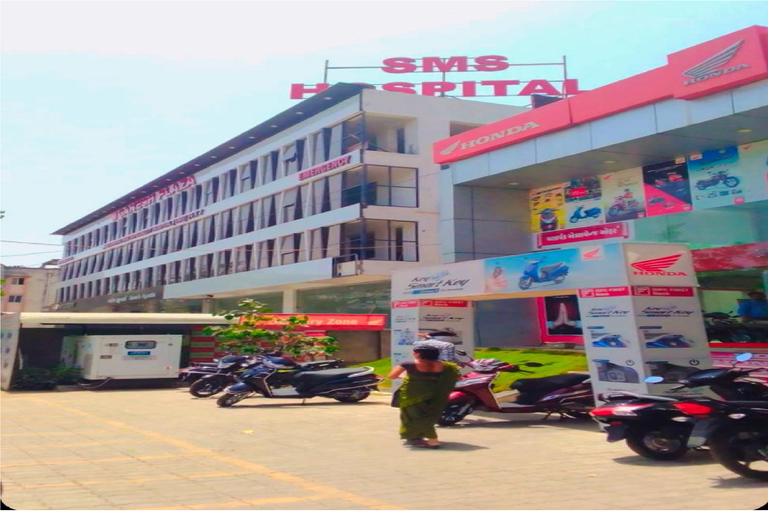 Others 5, Hotel SK, Vadodara
