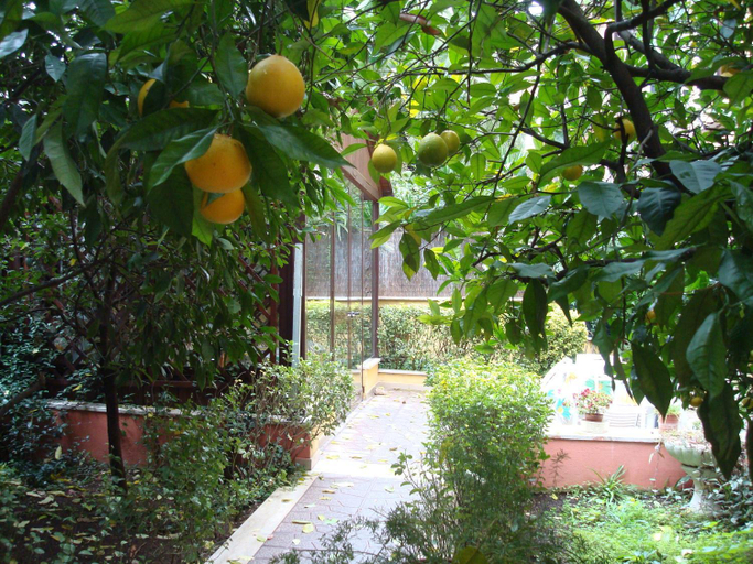 Facilities 4, Gioia Bed and Breakfast, Rome