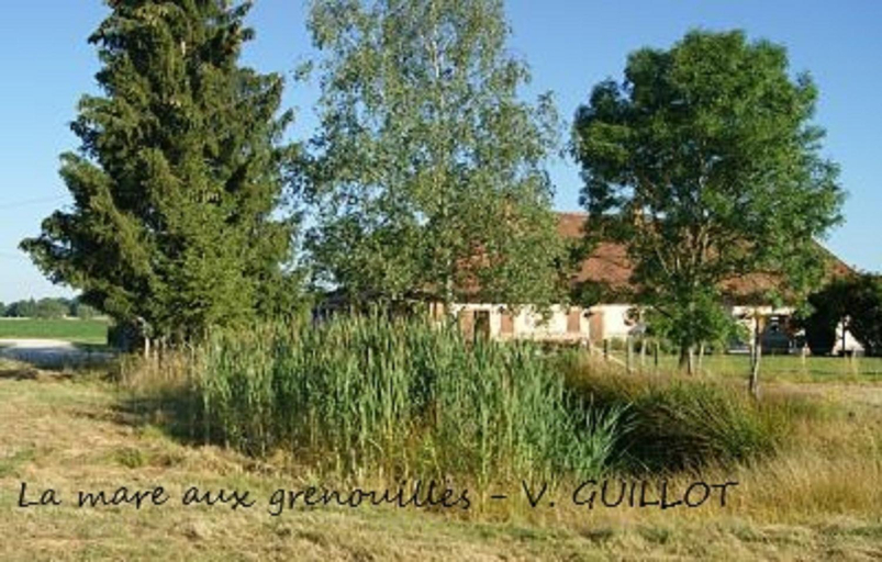 Others 2, La mare aux grenouilles, Saône-et-Loire