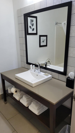 Bathroom 5, Country Inn & Suites by Radisson, McDonough, GA, Henry