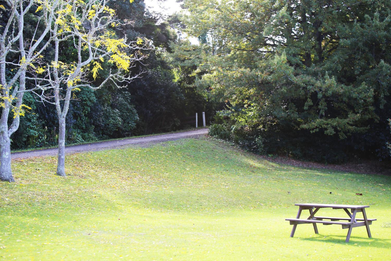 Others 5, Orere Point - TOP 10 Holiday Park, Manukau