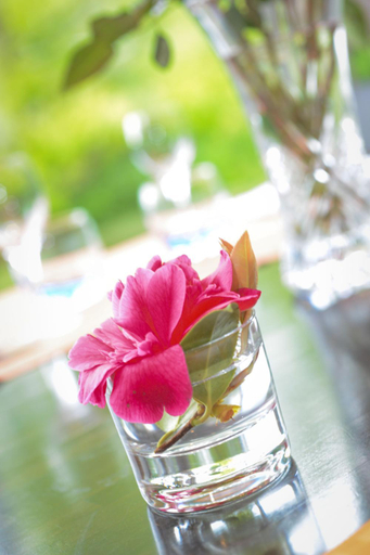 Food & Drinks 5, Hotel Cositel, CIT'HOTEL Coutances, Manche