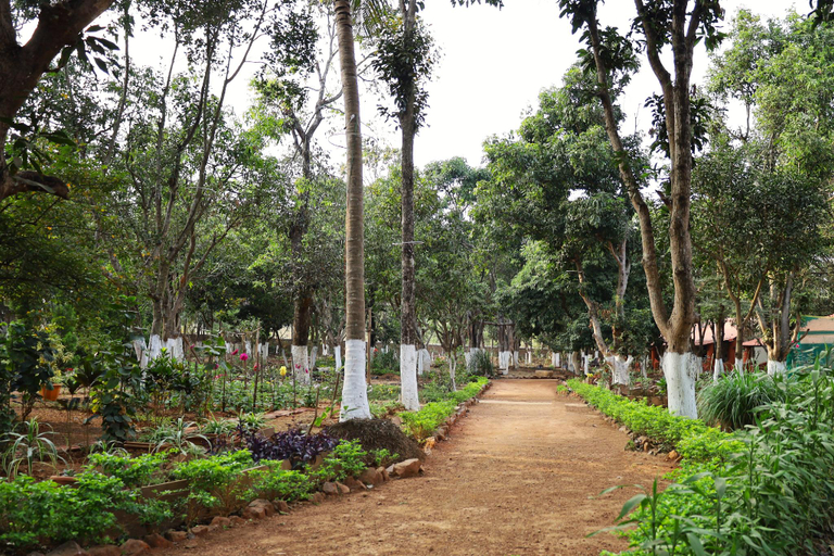 Others 4, Bastar Greens Eco Stays, Bastar