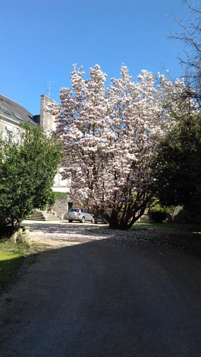 Others 4, Leurope, Morbihan