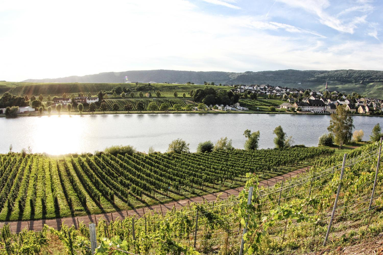 Others 5, Hotel- Weingut- Moselloreley, Bernkastel-Wittlich