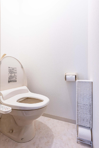 Bathroom 3, Arita Heights Namba 311, Osaka