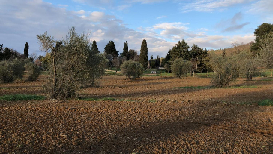 Others 3, Agriturismo Il Broletto, Livorno